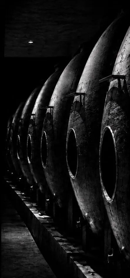Barris de vinho da vinícola Alma Gerais
